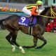 デムーロは納豆で有馬記念の勝負に臨む!話題の競馬番組『キシュメシ!』が面白かった!次は武豊&関東編で復活を希望