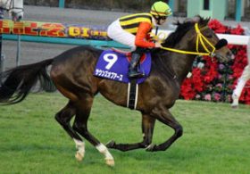 「鮫島フィエロ」1番人気惨敗……天皇賞・春（G1）の「藤岡サウンズオブアース」にもファンから心配の声