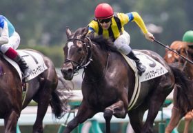 【怪物フランケルの「日本制圧作戦」第1弾】阪神JFはソウルスターリングが制す！たったワンステッキで2歳女王の座を手に入れた「血の力」