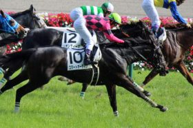 重賞3勝のスマートオーディンがリタイアで秋ローテ白紙……「脚元の疲れ」が原因も、やはり『クラッシャーの呪い』か！？