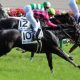 エプソムC(G3)JRA「美浦関係者称賛」2頭で決まり!? 「自信の2頭出し厩舎」に要注意