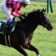 【日本ダービー特別再寄稿】託された思いと飽くなき挑戦。ホースマンの夢を繋いだ日本ダービー馬「絆(キズナ)」の物語<前編>