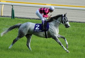 【京都大賞典（G2）展望】武豊V2へ向け始動！鞍上強化シュヴァルグランなど実力馬たちが立ちふさがる!!