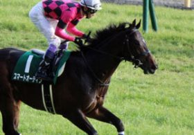 日本ダービー期待の一角・スマートオーディンは「出走できるのか」!? 松田国英調教師と父馬の「過去」に不安が……