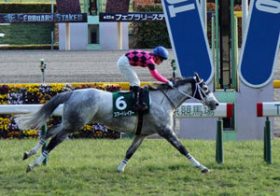 【徹底考察】ヴィクトリアマイル（G1）　ミッキークイーン＆スマートレイアー「上位人気確実の2頭が抱える『意外』な不安点」