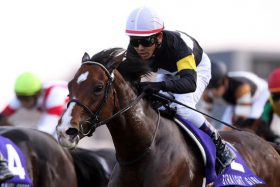 混戦模様のスプリンターズS、実は「あの馬」の1強！「本物のプロ」自信予想の中身は？