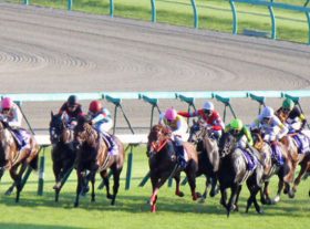 阪急杯のシュウジはホントに確勝級!? ミッキーアイル＆イスラボニータを下した4歳世代屈指の快速馬に見え隠れする「2つ」の課題とは……