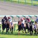 福永騎手が落馬したスズカメジャーが仕切り直しの一戦へ!衝撃のスタート直後に「Uターン」から1カ月……今度こそ能力全開か