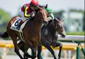 スプリングS（G2）大本命ステルヴィオに「距離の壁」なし!? 2人の世界的名手が証言する”世代No.2″の「本当の姿」とは