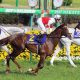 日本ダービー(G1)は「隠れ肉食系」松山弘平アルアインに注目!? 皐月賞馬と2冠を狙う若手のホープが”草食系”をやめた2つの「きっかけ」