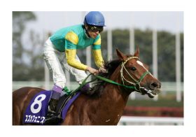 平成最強の短距離王は誰？馬はロードカナロア？サクラバクシンオー？騎手は武豊？岩田康誠？