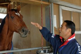 ディーマジェスティに不安要素あり！注目の外国馬はどんな仕上がり？鈴木和幸のジャパンカップ追い切り全馬診断を公開！