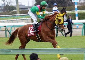 JRA【ダイヤモンドS（G3）展望】タガノディアマンテ「3000m圧勝」で中心！ 天皇賞・春（G1）に向けて視界良好⁉