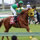JRA・NHKマイルC(G1)波乱の立役者? プールヴィル鍵はマイル適性だが……