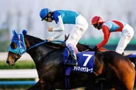 エリザベス女王杯の記憶～武豊栄光の4連覇。トゥザヴィクトリー・ファインモーション・アドマイヤグルーヴ～