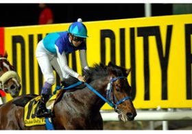 アロゲートの最強すぎる走りに世界が驚愕……日本勢苦戦も大魔神ヴィブロスがドバイターフ（G1）制覇！【ドバイワールドカップデー2017回顧】