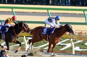 JRA武豊「さすがの復活」インティのトップレベルを再証明。「普通だったら勝てた」が……