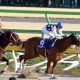 JRA阪急杯(G3)「米三冠の血」ミスターメロディの「一本調子」に疑問? 得意舞台はここではない