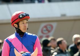 JRAフェブラリーS「楽逃げ」インティは第二のキタサンブラック!? 武豊「激流必至の差し馬天国」発言も史上2番目スローに再燃する”あの”疑惑……