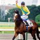 東京ダービー(S1)JRA勢「大侵略」にTCKが対応策! 物議醸した「バルダッサーレ方式」アウトも根本的解決とは言えず……