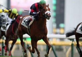 【徹底考察】天皇賞・春（G1）　シュヴァルグラン＆タンタアレグリア「阪神大賞典での『2頭の差』は広がるのか、狭まるのか」