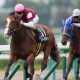「北」を持つ「北」島三郎のキタサンブラックが有馬記念勝利確実!? 「今年の漢字」もラストランを後押し