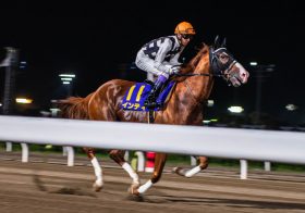 JRAみやこS（G3）川田将雅インティ○番手の「三連単2点」！　信頼度急上昇の「現場情報」で狙い撃ち!!