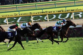 JRA天皇賞・秋（G1）「悪夢」スワーヴリチャード大敗の原因は武豊!? スタート直後にマカヒキと接触……M.デムーロの”恨み節”も