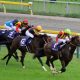 いよいよデビュー!2020年の新種牡馬を紹介。本命はドゥラメンテ・モーリス、穴はエイシンヒカリ・マクフィ・リオンディーズか