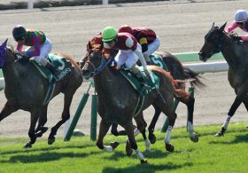 サマースプリントシリーズ開幕戦に早くも豪華「史上最強世代」が進撃開始！函館スプリントS（G3）は見逃せない一戦だ！