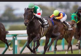 【徹底考察】函館スプリントS（G3）　ティソーナ「優秀な洋芝適正も初のスプリント戦に決して無視できない『不安要素』」