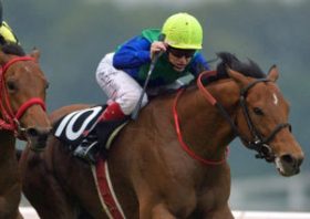 その記録は「ギネス級」!? 函館記念に出走する「世界を股に掛ける名馬」ならぬ「世界に股を掛けられた迷馬」とは