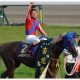【G1回顧・宝塚記念】女傑マリアライトが制した春のグランプリ!2着ドゥラメンテは「引退か」レース後に下馬のアクシデント
