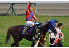 【徹底考察】阪神大賞典（G2） トーホウジャッカル「『3分間の奇跡』を再び見せる時がやってきた」