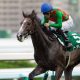 ヨシトミ先生が魅せた! 東スポ2歳S(G3)は東京得意のブレスジャーニーが勝利