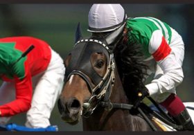 ドバイワールドC2着の名牝トゥザヴィクトリーの”最高傑作”がついにデビュー！世界最高峰の育成牧場ノーザンファームで『横綱』と評される理由