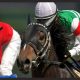 「ノーザンファームの横綱」トゥザクラウンの今週デビューは超激戦!良血揃いの2016年度版「伝説の新馬戦」は、来春のクラシックを占う一戦になる!?