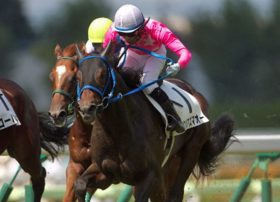 グラスワンダーよもう一度！ 中山記念（G2）に「中山の鬼」ツクバアズマオー出陣。その背中に乗るは「最後の夢」か