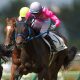 JRA種牡馬では最強世代「No.1」か!? グラスワンダー種牡馬引退で「第3」のステージへ!