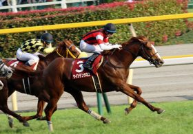 JRA菱田裕二「遅刻汚名返上へ」京都大賞典（G2）ウインテンダネスの「成長力」……克服課題はコースと「休みボケ」か