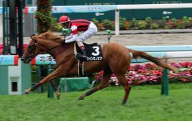 JRAアルテミスS（G3）は大荒れ模様？ 関係者が明かす「狙い目」とは