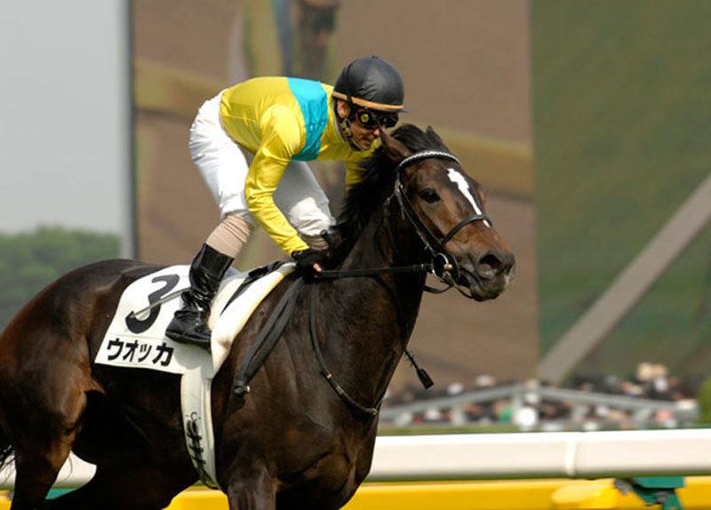 JRA「ウオッカ産の星」タニノフランケル「道悪良績」重賞初制覇へ……人気する理由の画像2