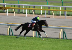 青葉賞馬ヴァンキッシュランが屈腱炎発症で秋絶望……「数珠つなぎ」の悪いニュースに不安