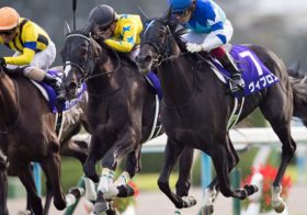 市川海老蔵が大魔神・佐々木主浩と福永祐一「絶縁関係」に急浮上!? エリザベス女王杯（G1）ヴィブロス降板の「経緯」と悲しき「男の嫉妬」