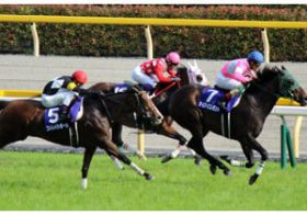 昨年、驚愕の『2000万』馬券！ヴィクトリアマイル（G1）は今年も大荒れか！？その「見極め方」と「狙い馬」マニュアル