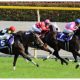 【徹底考察】ヴィクトリアマイル(G1) ルージュバック&シュンドルボン「超スローの中山牝馬S(G3)は『本番』につながるのか」