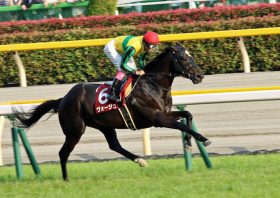 JRA天皇賞・春（G1）平成最後のG1に「爆穴」発見！信頼の現場ネタで「進退」をかけた大勝負!!