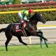 JRA阪神大賞典(G2)は前走復活Vシャケトラから相手2頭……「現場ネタ」で強気な3連単「2点勝負」!!
