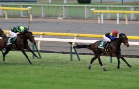 弥生賞（G2）ワグネリアン「調教師」がマカヒキとの違いを告白。史上8頭目の牡馬クラシック三冠へ、2年前のダービー馬になく「新怪物」が譲り受けたもの