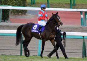 ワンアンドオンリーが「唯一無二の舞台」ドバイ遠征に3年連続!? 国内での見込みは薄いが、中東の地では……